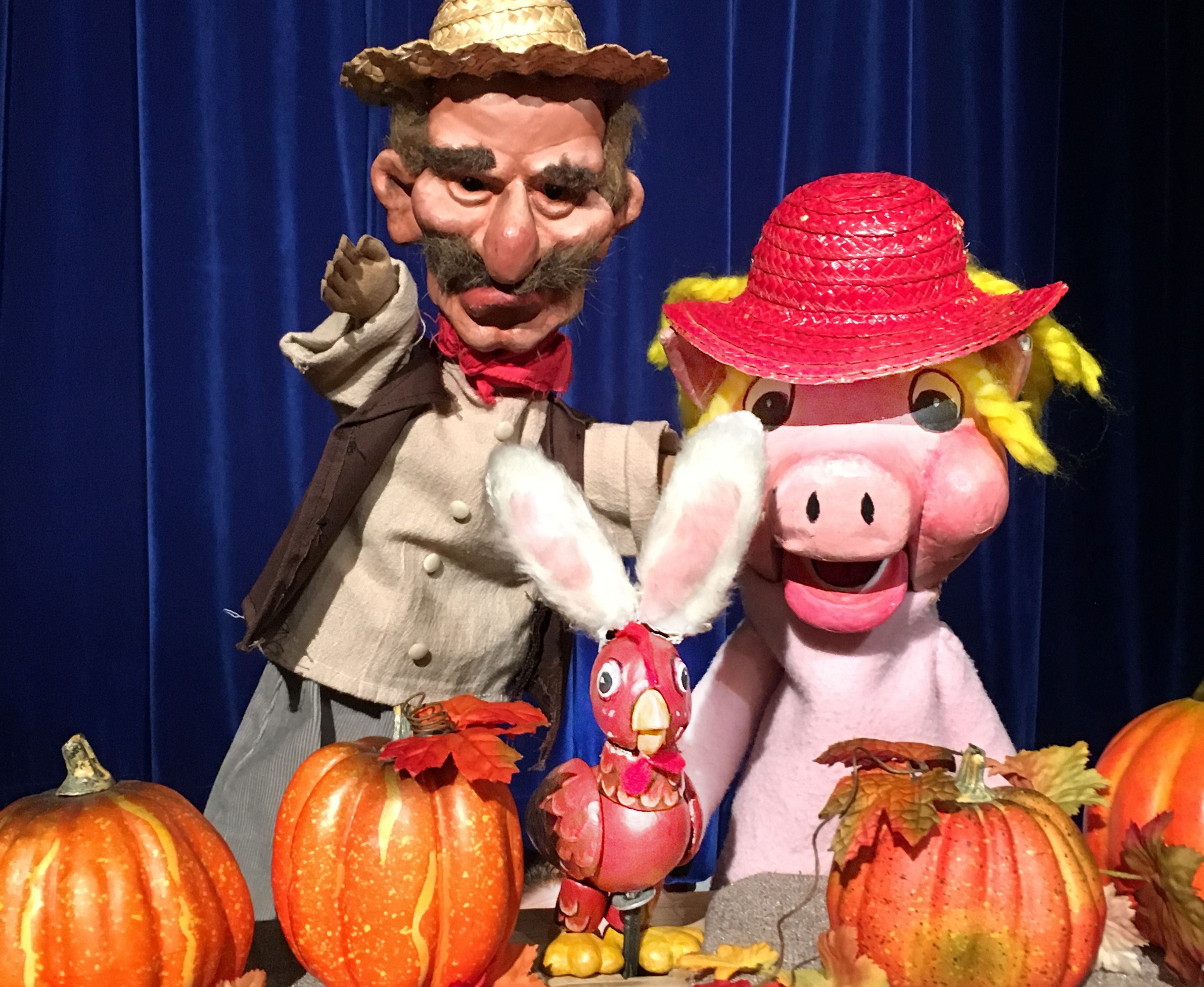 Old MacDonald's Pumpkin Patch